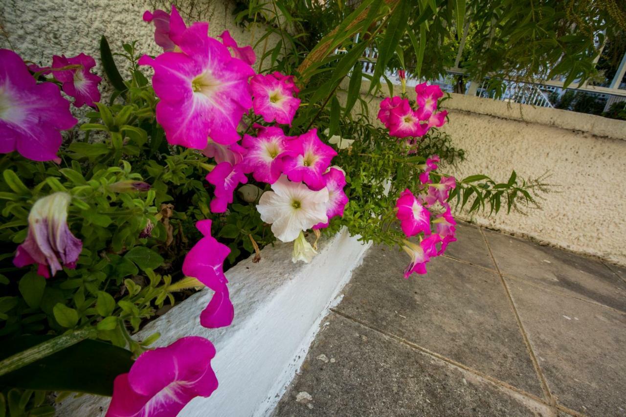 Marietta'S Townhouse Villa Argostoli  Exteriör bild